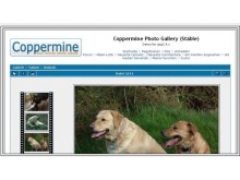 Coppermine Photo Gallery - Galerie photo en php